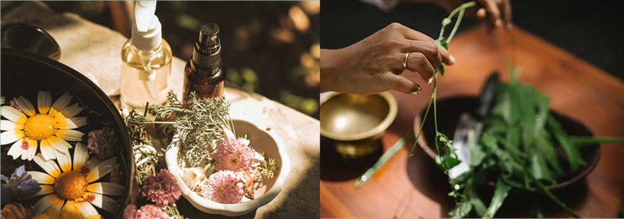 Deutschland und Kräuter – eine langjährige Liebesgeschichte