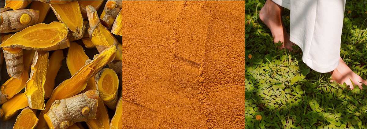 Das goldene Gewürz für gesunde Gelenke