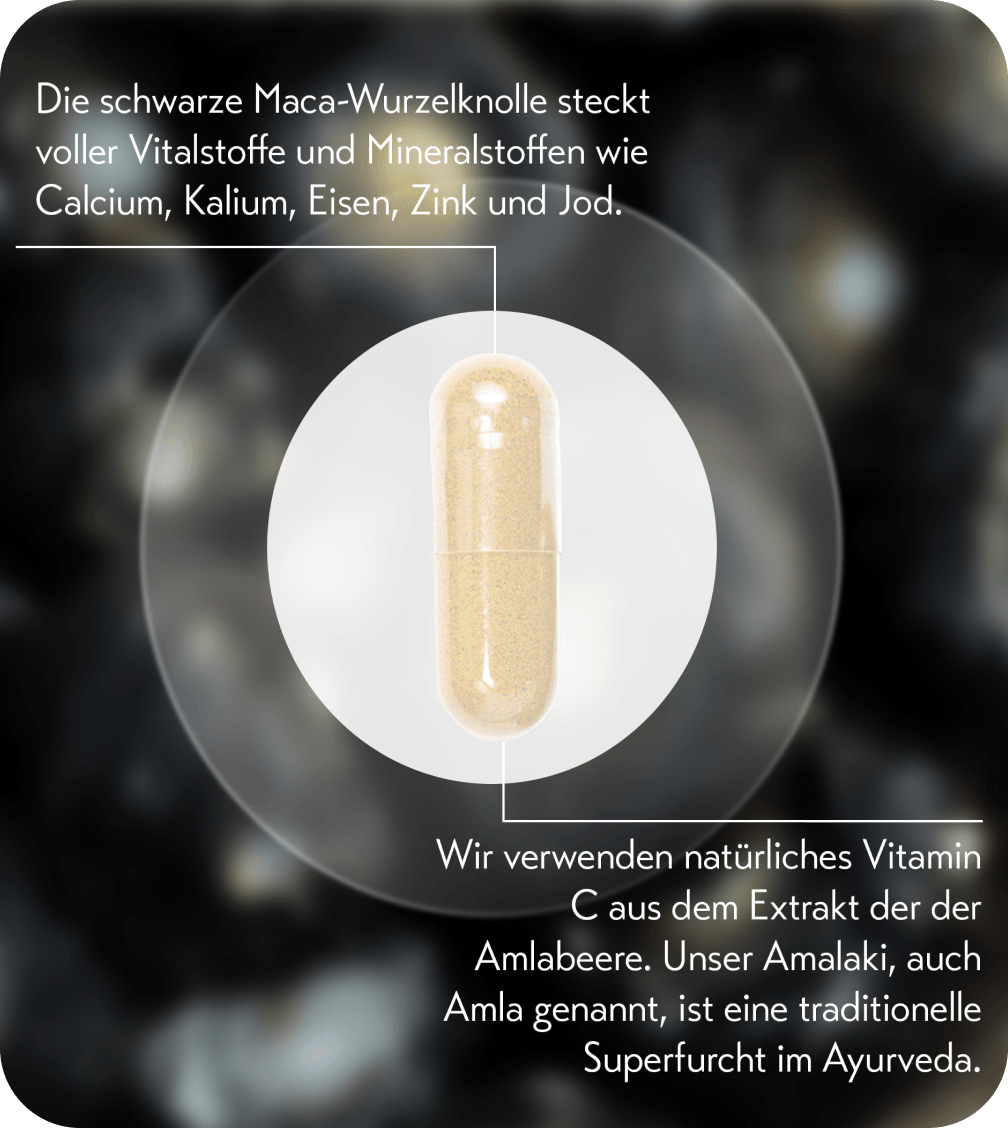 BIO MACA SCHWARZ MIT BIO AMLA EXTRAKT (VITAMIN C) - Veda Naturals